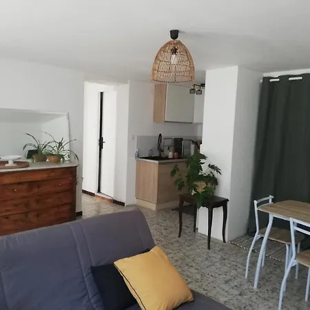 Apartamento Appartement Les Camelias, Avec Piscine