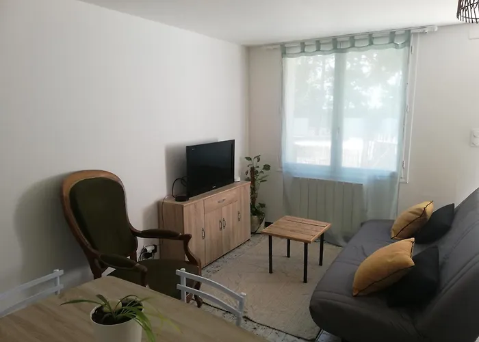 Appartement Les Camelias, Avec Piscine Nimes