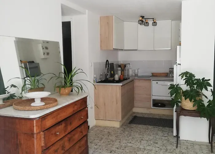 Appartement Les Camelias, Avec Piscine *